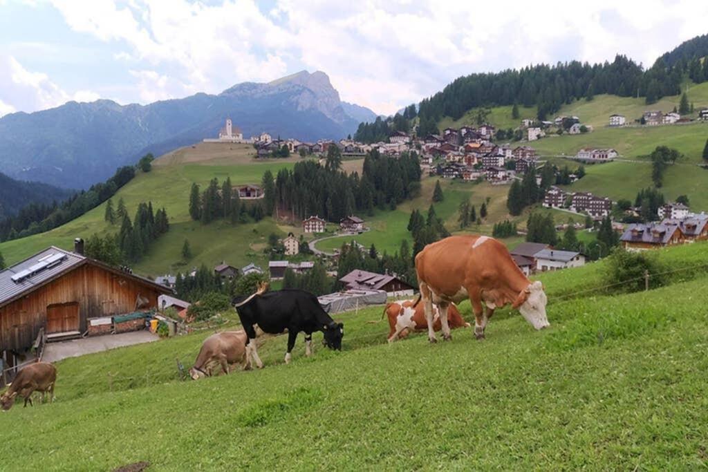 App Col Di Lana - Agriturismo La Majon Da Col Colle Santa Lucia Eksteriør billede